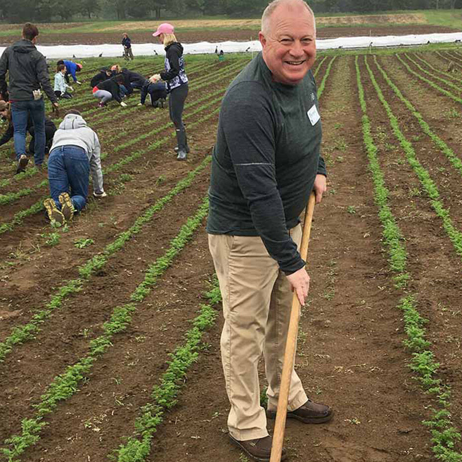 Employees volunteering in garden