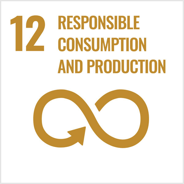 #12 responsible consumption and production in gold