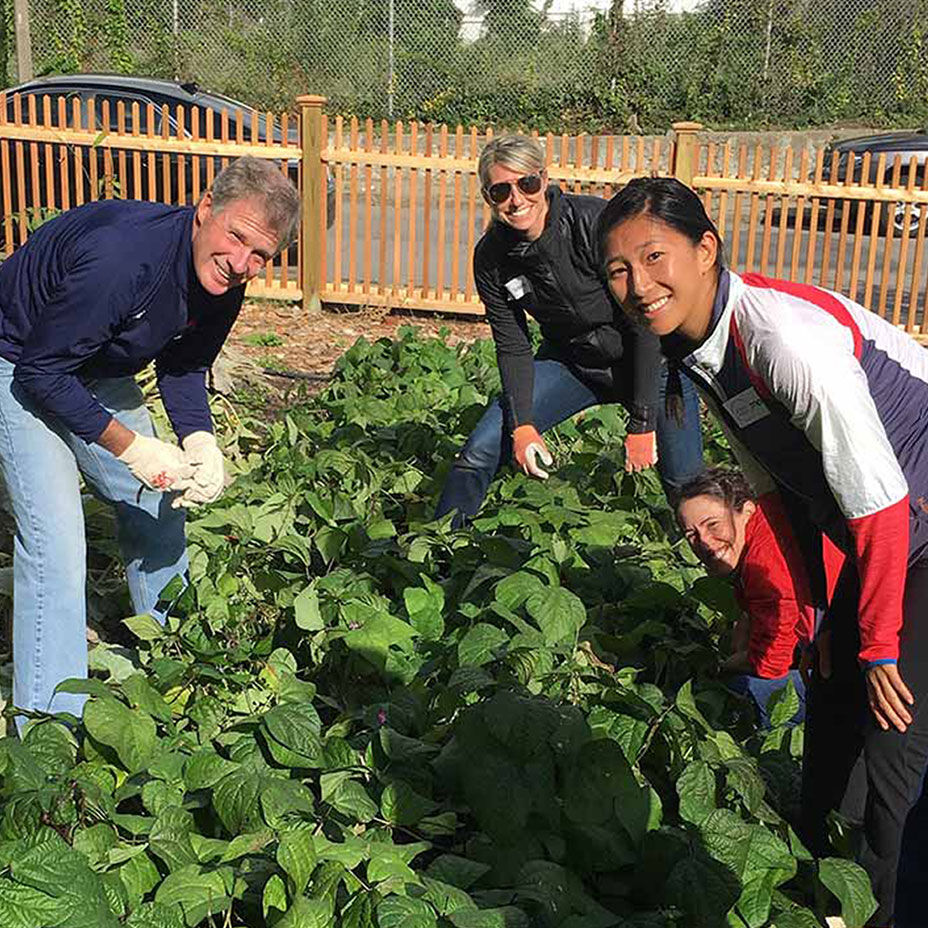 Employees volunteering in community garden